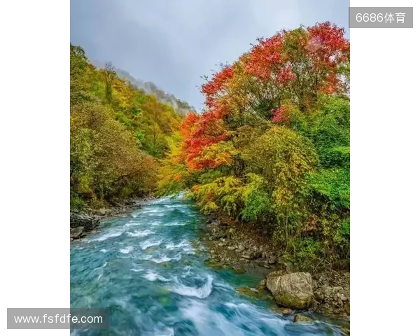 二郎山喇叭河赏秋之旅:立体彩林、野生动物、溪谷红石融为一体 二郎山喇叭河赏秋之旅:立体彩林、野生动物、溪谷红石融为一体