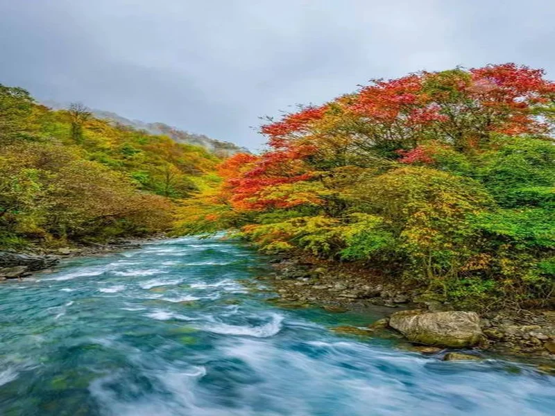 二郎山喇叭河赏秋之旅:立体彩林、野生动物、溪谷红石融为一体