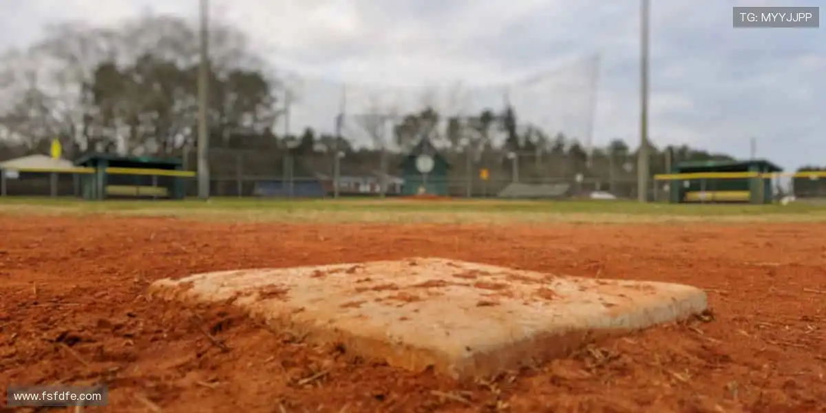 球迷专属，周边一站式购齐！🎁👕